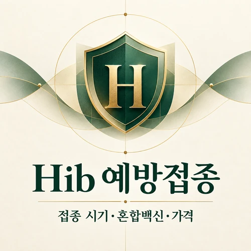 Hib 예방접종 대상·차수·일정을 정리한 AI 생성 안내 표지